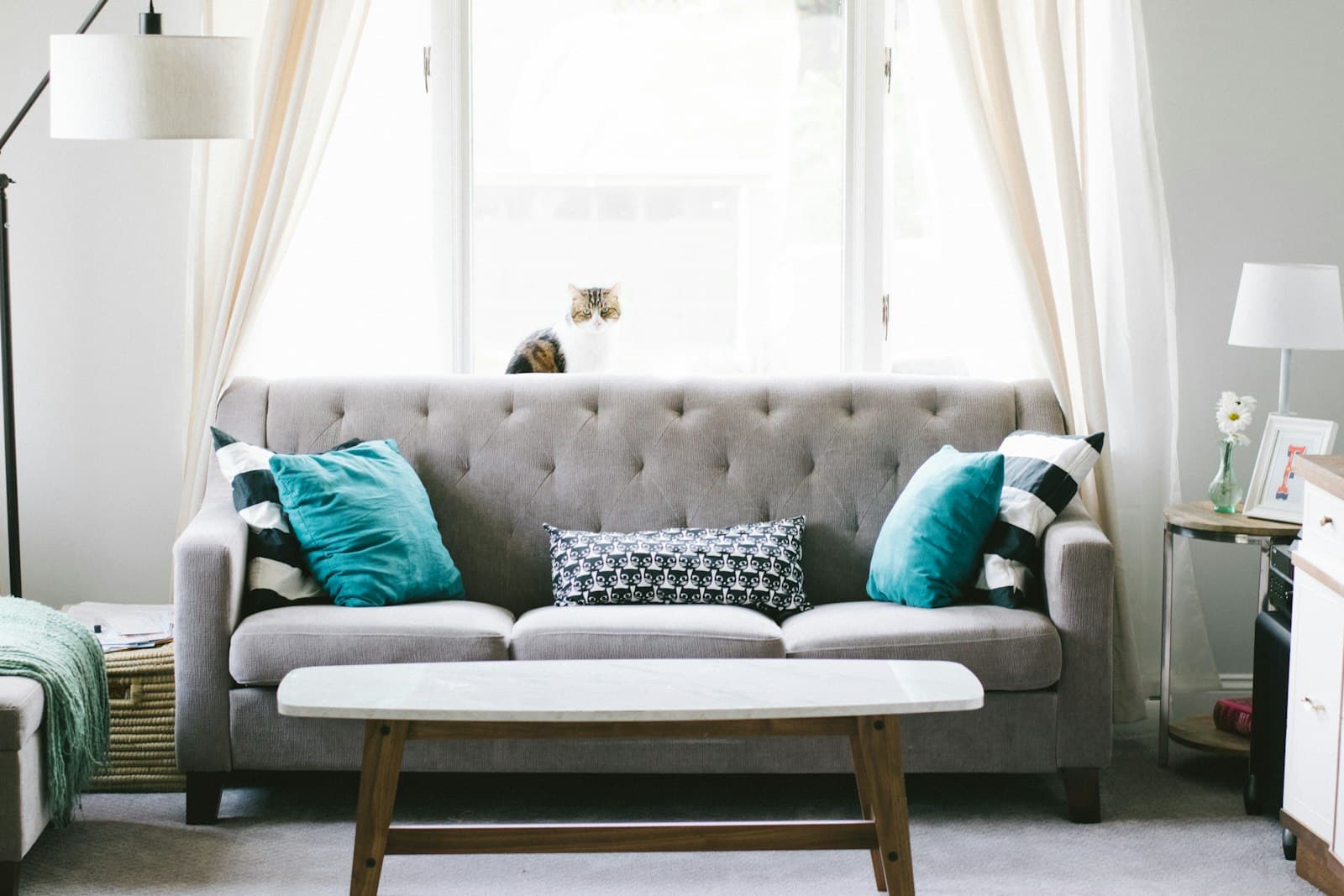 A living room with freshly fitted carpet